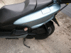 majesty rear small